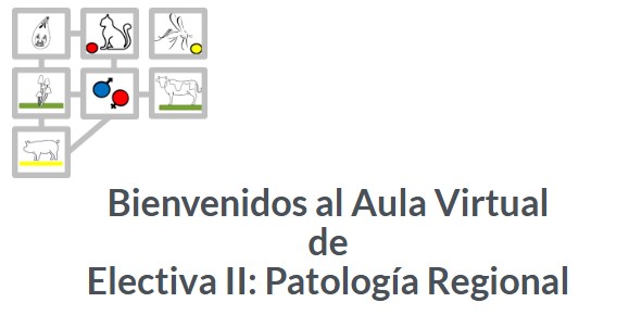 logo26